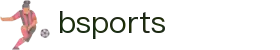 bsports(中国)B—sports登录入口