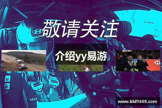介绍yy易游